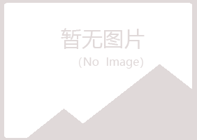 鹤岗兴山狼狈服务有限公司